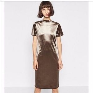 Zara M | Women's Taupe Velvet Midi Dress